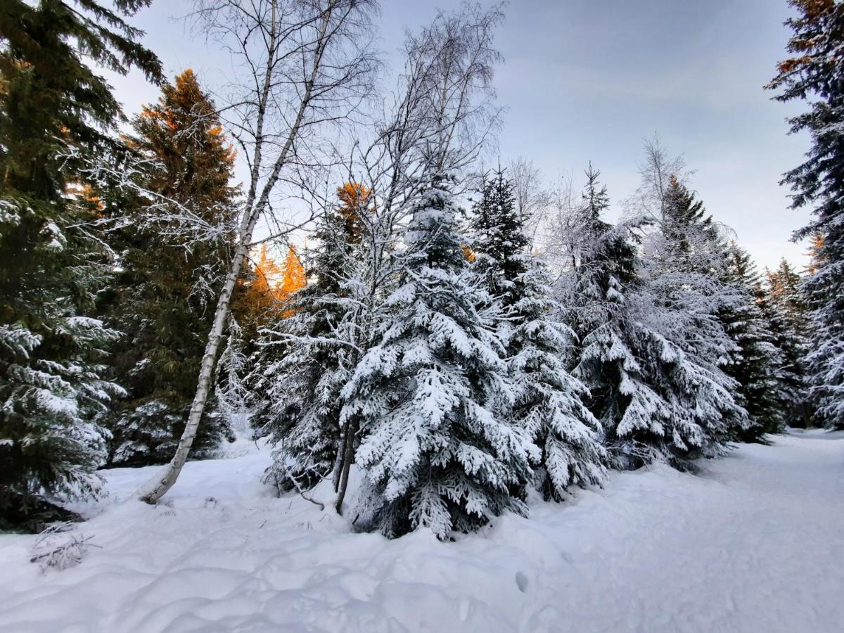 La Petite Foret Chamrousse 1700 Exterior photo